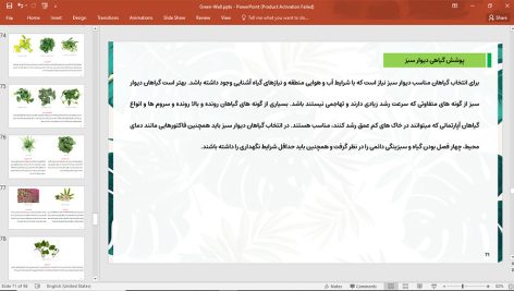 دیوار سبز
