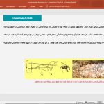معماری هخامنشیان