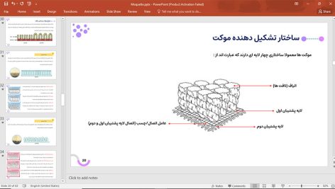 موکت